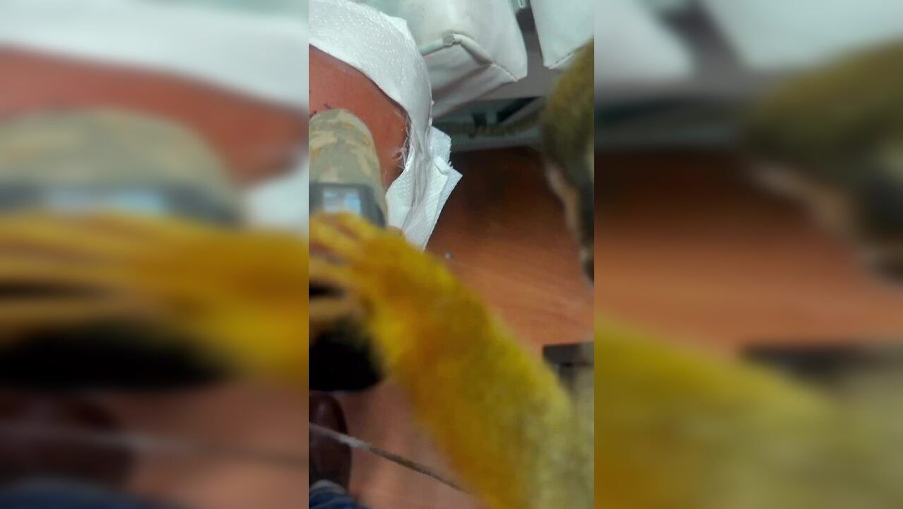 Man becomes 'first person to be tattooed by monkey' - Viral Video