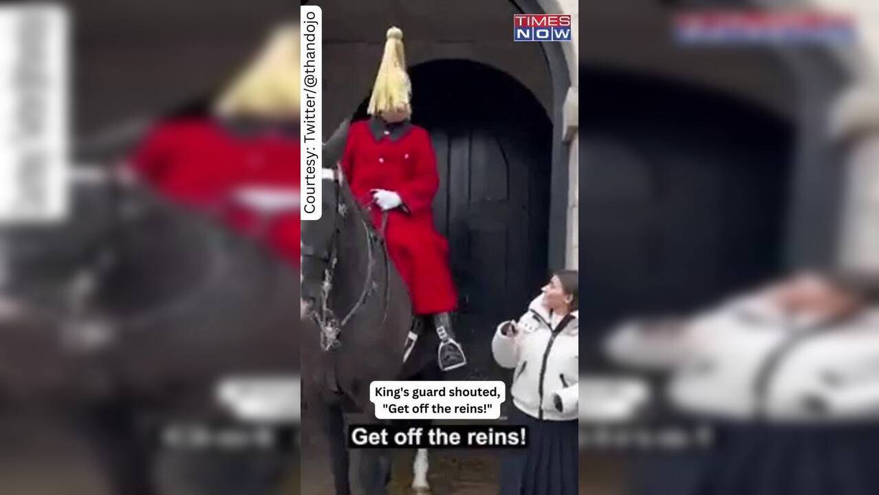 Viral Video! King's Guard Yells At A Female Tourist Who Touched His Horse
