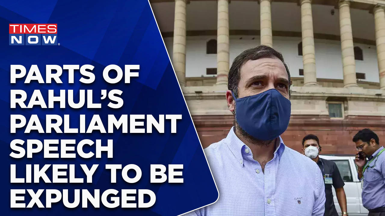 Parts Of Rahul Gandhi's Parliament Speech Ought To Be Expunged After ...