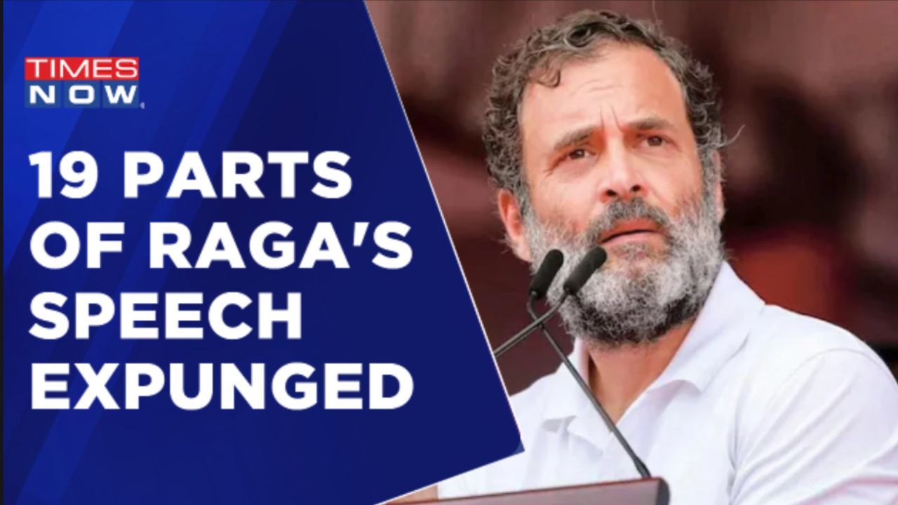 19 Parts Of Rahul Gandhis Speech Expunged From Ls Records Congress Says Democracy Dead 6954