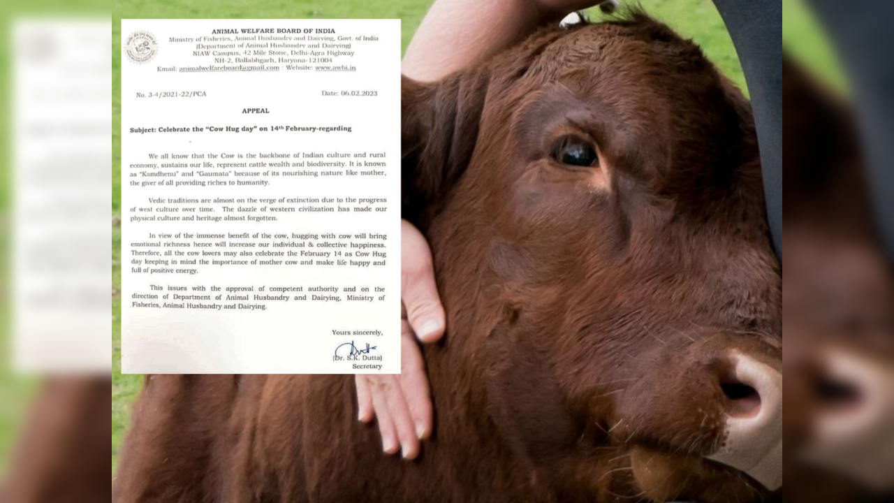 Animal Welfare Board of India's letter urging people to observe 'Cow Hug  Day' on Valentine's Day goes viral