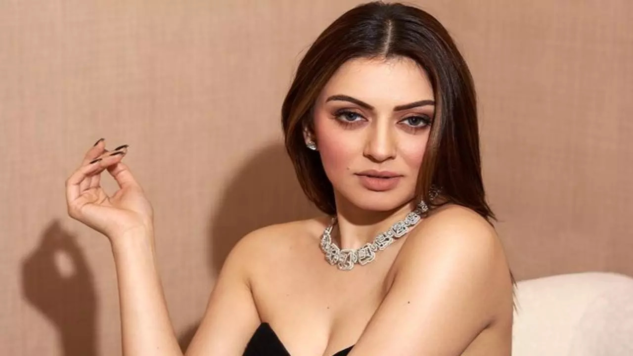 Hansika Motwani REACTS to being accused of 'stealing friend's husband': Because I am a public figure...