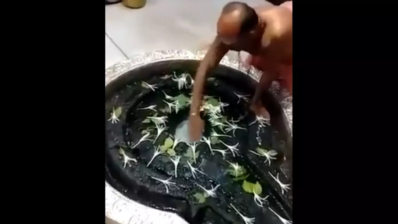 One of the three Trimbakeshwar temple priests booked for falsely claiming ice had formed on the Shivling pretends to examine the phenomenon in Nashik | Photo: Screenshot