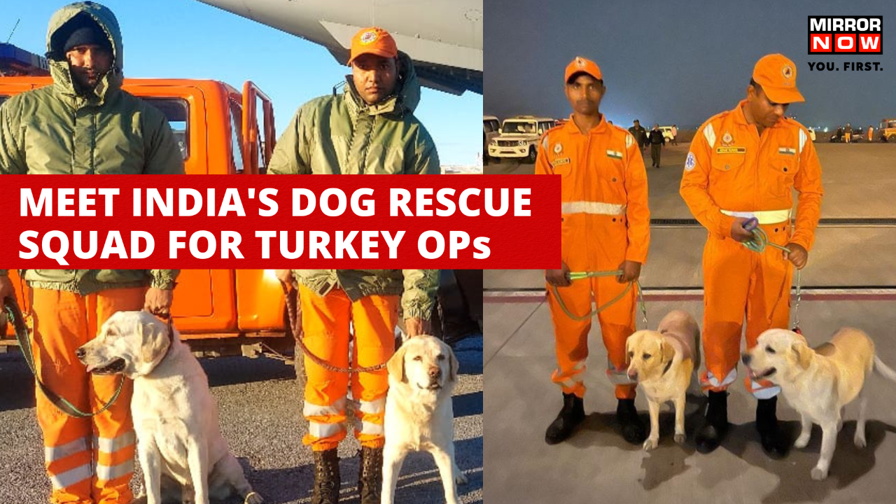 Turkey Earthquake Romeo, Julie, Honey, Rambo; India's Dog Squad Boost