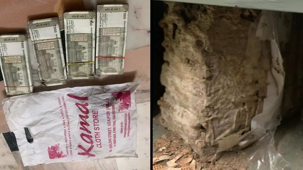 Sunita Mehta, of Udaipur, Rajasthan opened her locker at the Punjab National Bank (PNB), only to learn that currency notes-eating termites had destroyed around Rs 2.15 of her savings | Photo: Twitter