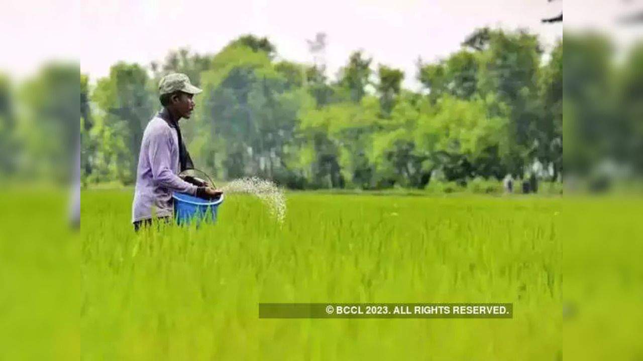 Fertiliser companies seek govt permission to hike MRP of non-urea fertilisers amid input costs rise