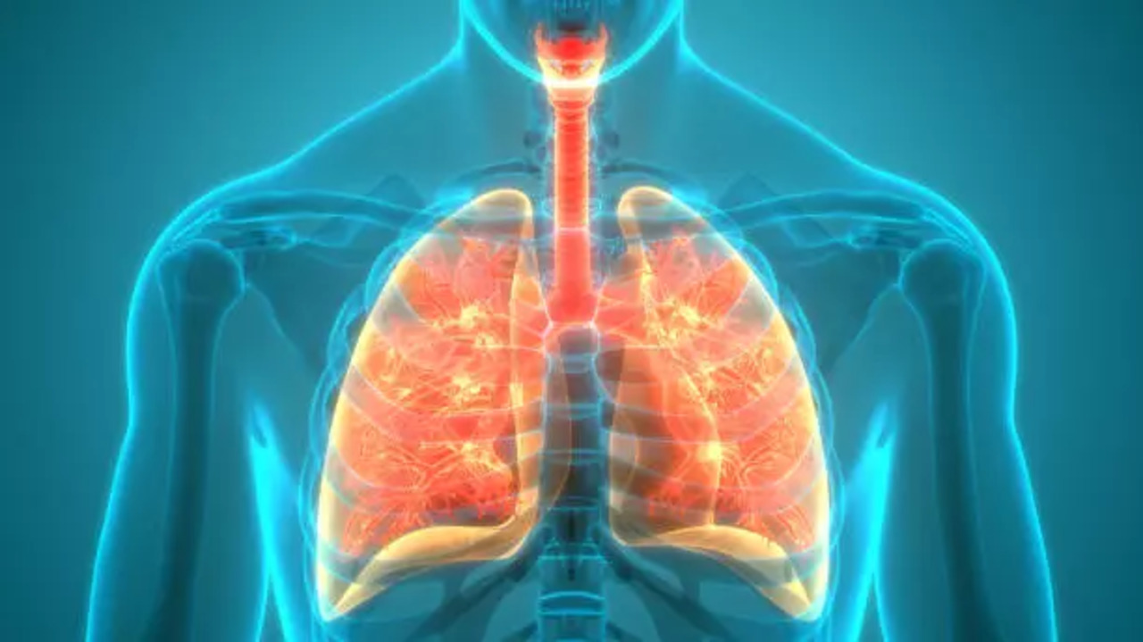 Know all about hypersensitivity pneumonitis - the rare lung disorder ...