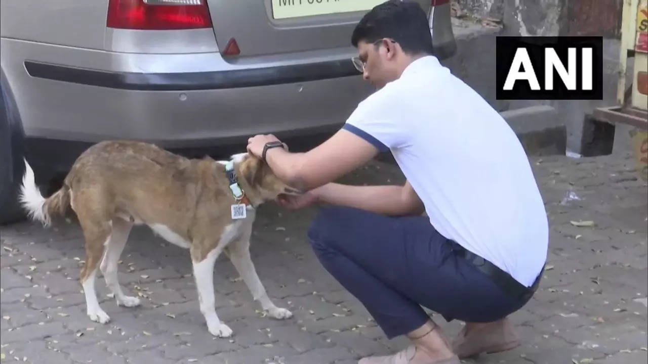 Akshay Ridlan putting a QR code tag on a stray dog (credit: ANI)