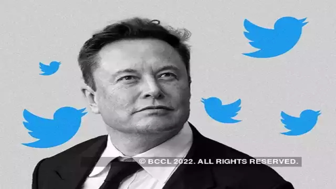 Twitter layoffs: Elon Musk's company cuts more jobs | These employees most impacted