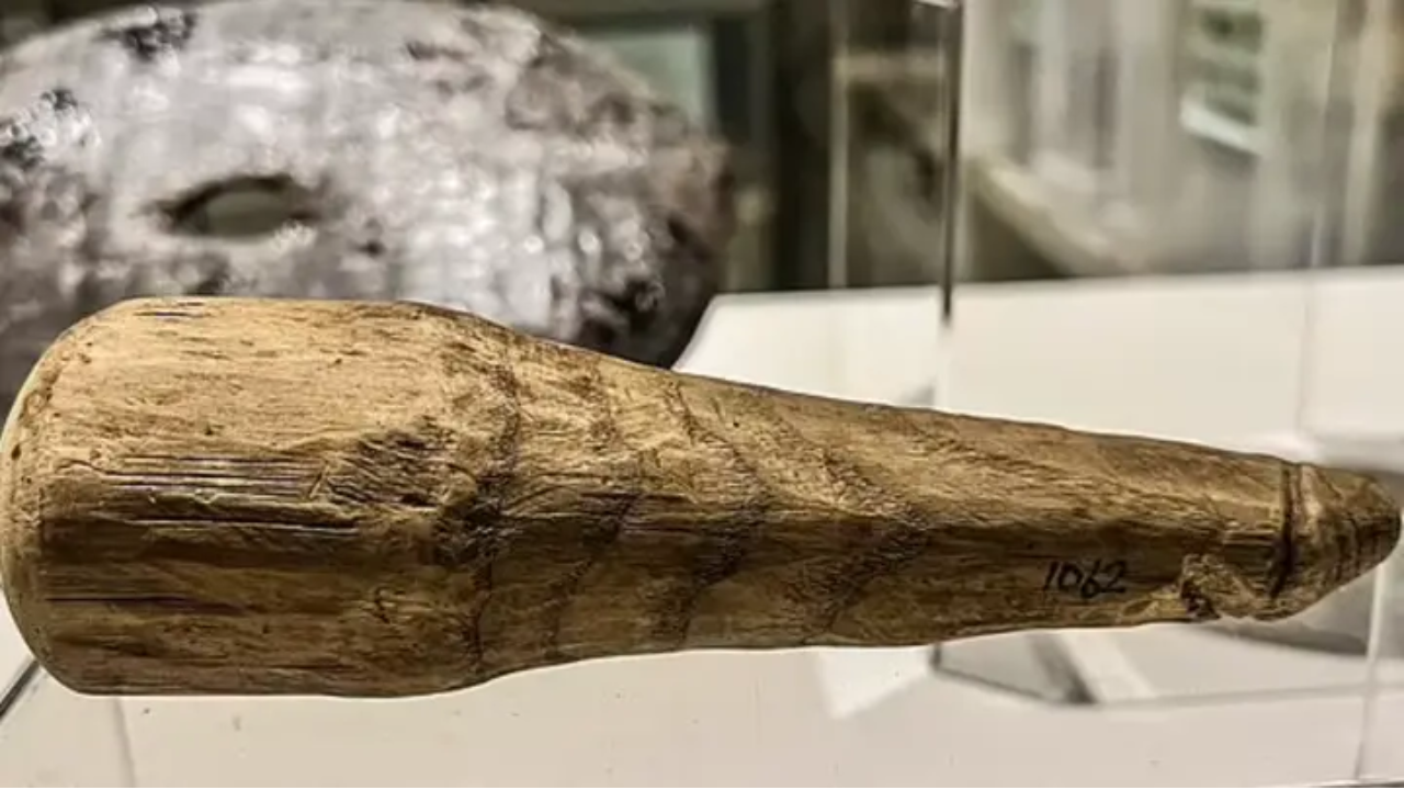 This 6.3-inch wooden object may have been used as 'sex toy' 2000 years ago