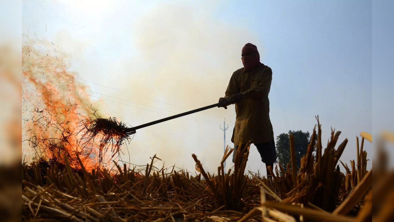 Stubble burning