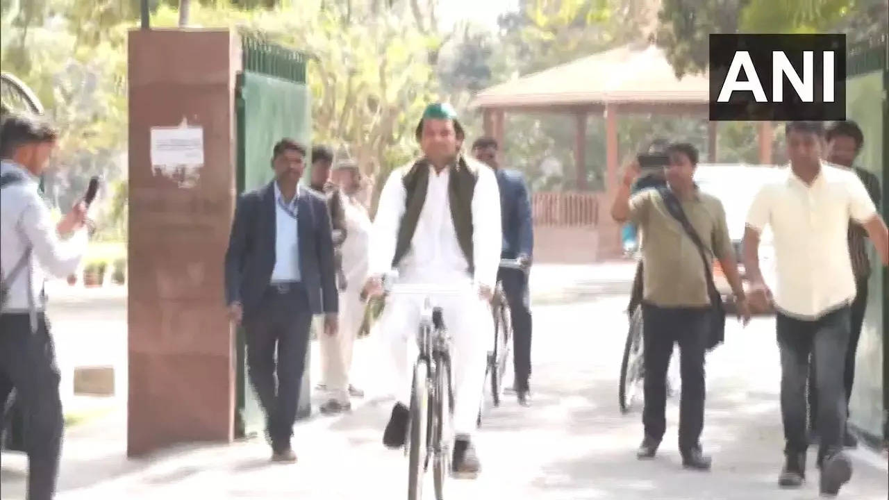 tej pratap yadav