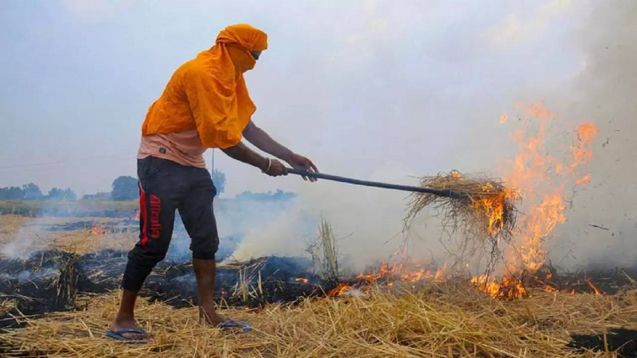 stubble-burning-pti