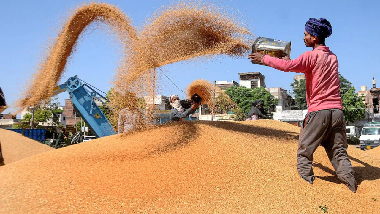 Food Corporation of India sold 5.07 lakh MT wheat in its third e-auction to 1,269 bidders