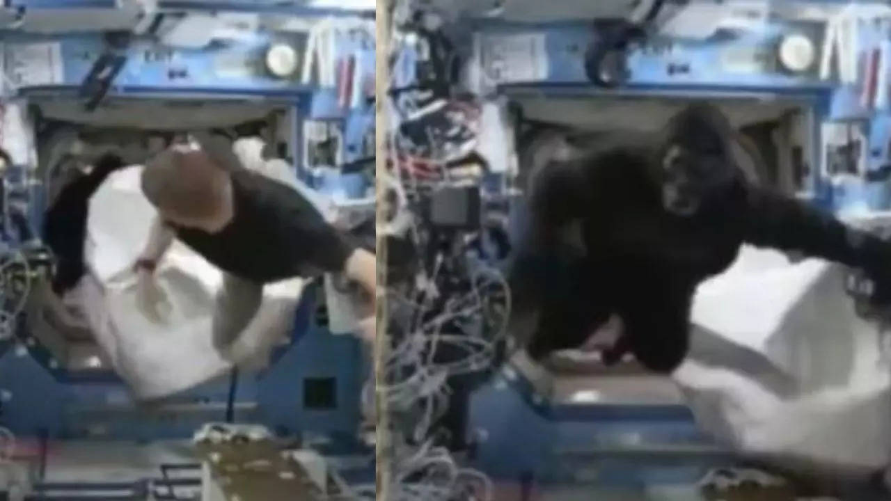 Nasa Astronaut Dressed Up As Gorilla Pranks Crew Member In Space