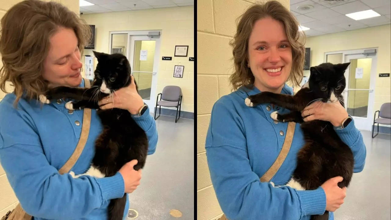 Report of a stray cat helped reunited Piper with her owner in USA's Virginia | Henrico County Police/Instagram