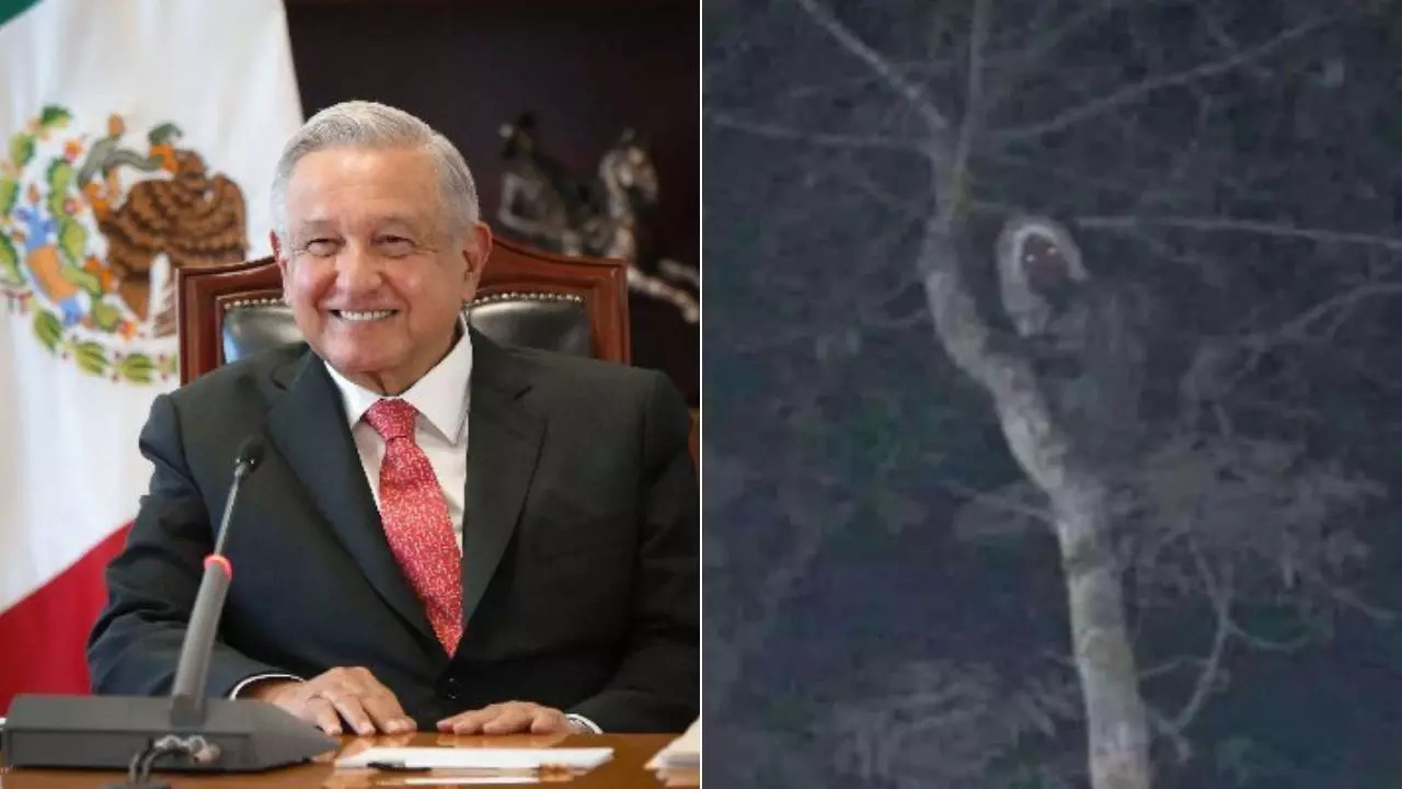 ​Mexican President Andres Manuel Lopez Obrador posted an image of what he apparently referred to as a mythological spirit similar to an elf​