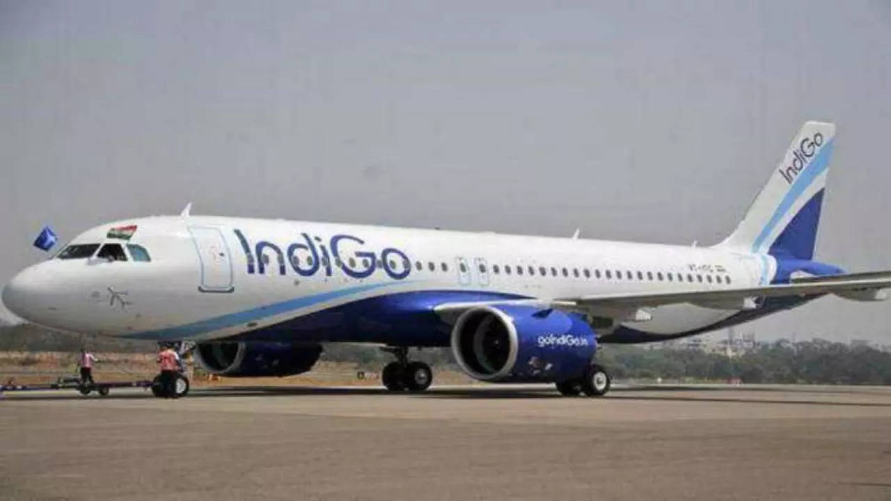 IndiGo Surat-Delhi flight diverted to Ahmedabad after bird hit