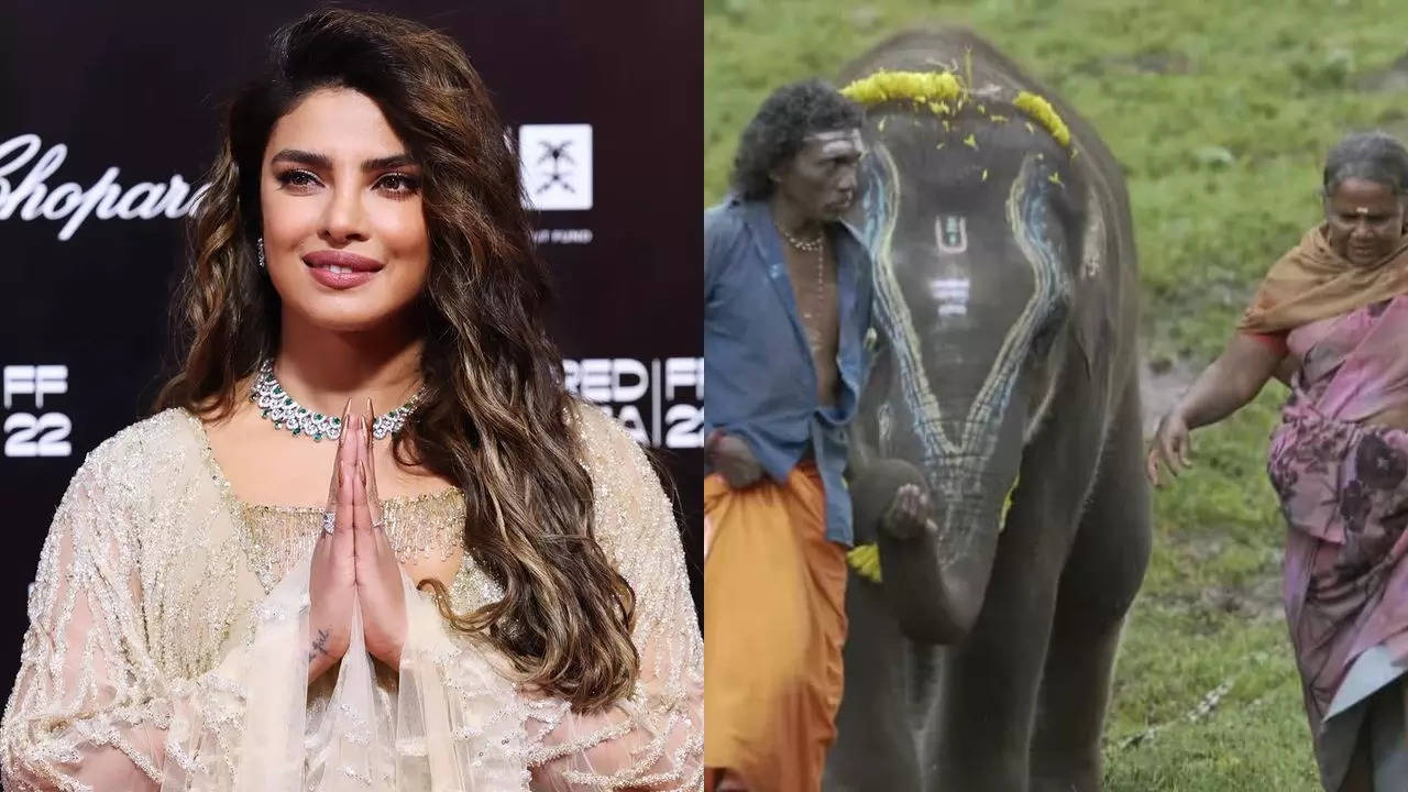 Ahead of Oscars 2023, Priyanka Chopra gives shoutout to The Elephant Whisperers: A trunk filled with emotions!