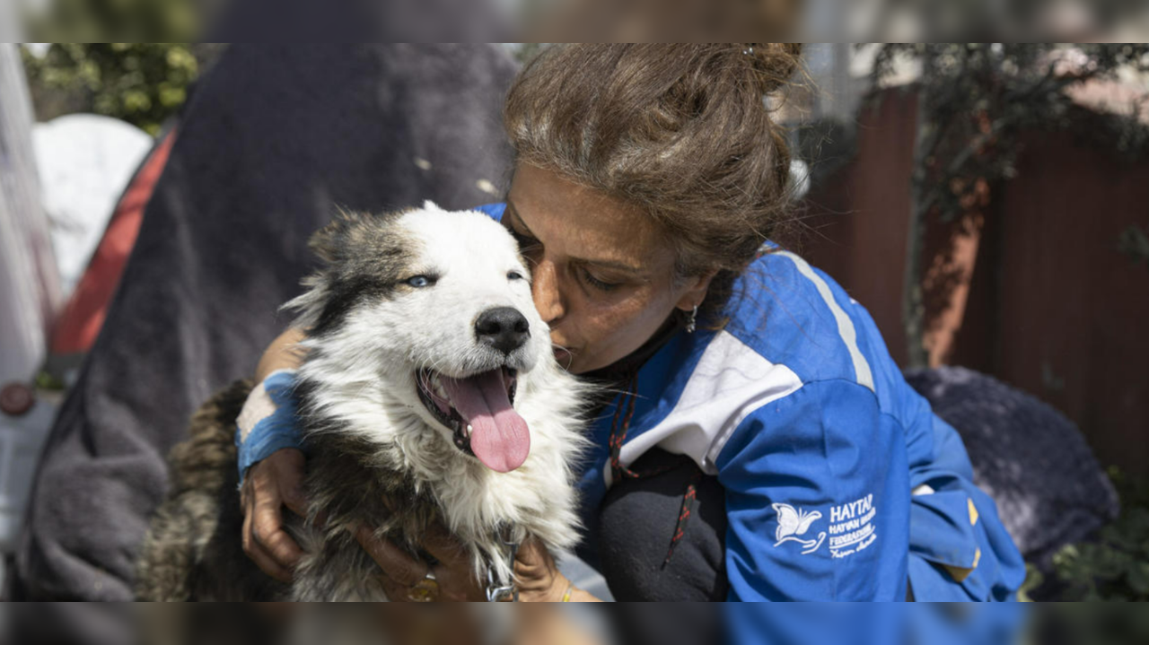 Rescuers save trapped dog 3 weeks after Turkey earthquake