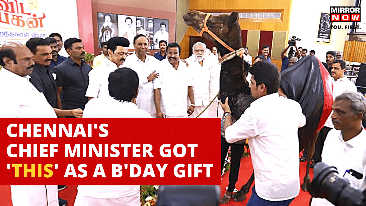 Tamil Nadu CM Stalin gets Camel as his 70th birthday gift | Times Now