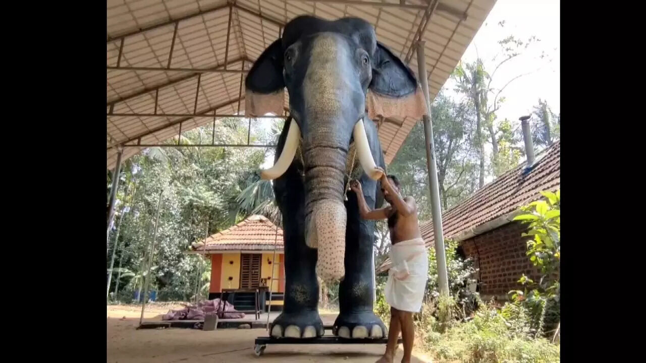 Kerala temple welcomes super-realistic robotic elephant for ritual ...