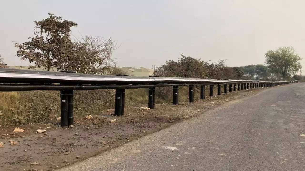 this is 'bahu balli', world's first bamboo crash barrier! minister gadkari explains why it is special...