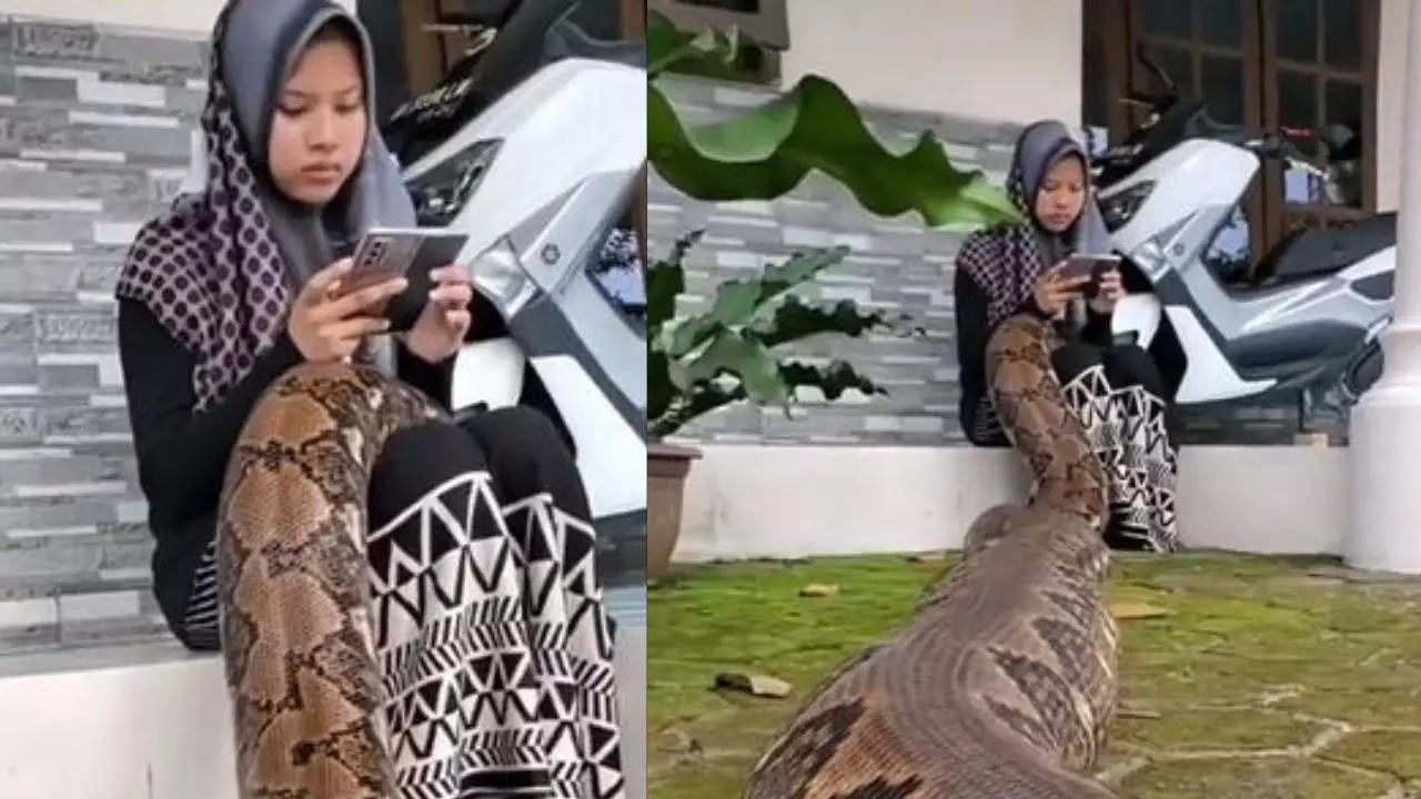 Woman relaxes with a massive python on her lap in shocking viral video ...