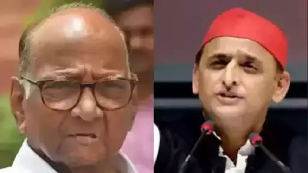 sharad pawar akhilesh bccl