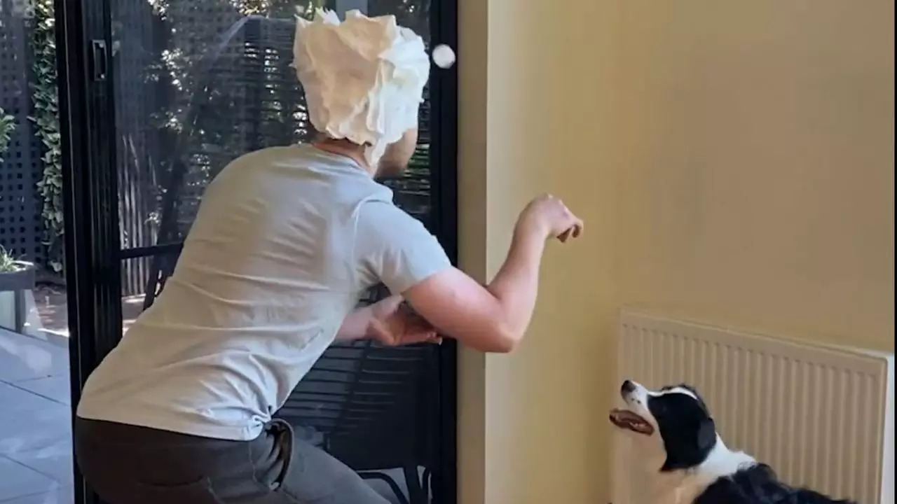 Oscar Lynagh, of Melbourne, Australia, bounced table tennis balls of a wall and caught them using his shaving foam-covered head | Screenshot: Guinness World Records