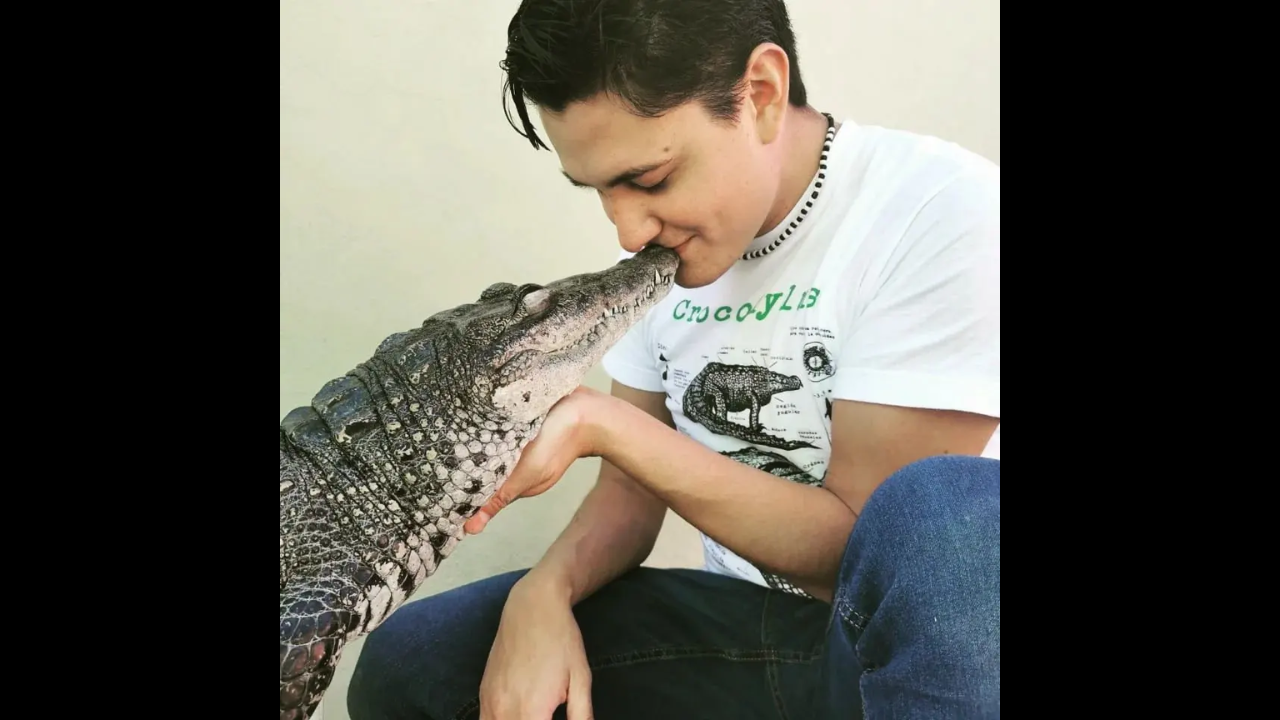 Man has a pet crocodile that acts like a dog and sleeps with him