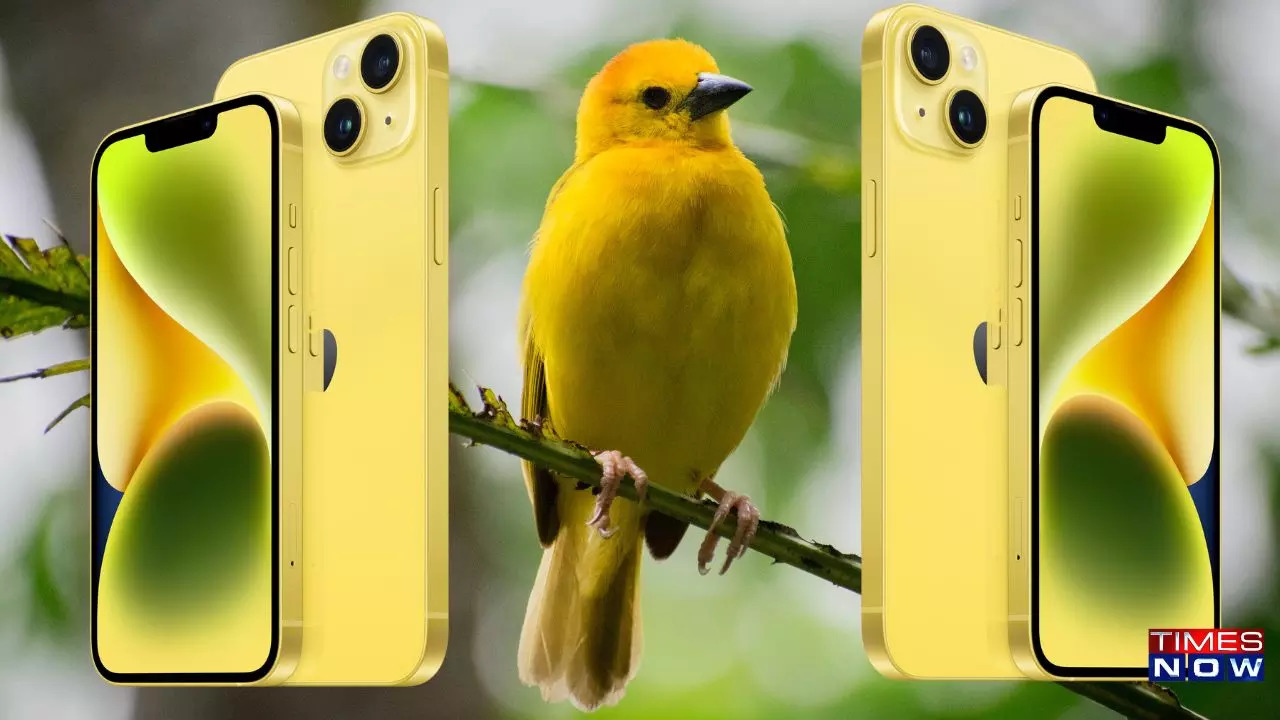 Get your hands on the latest Apple iPhone 14 yellow colour option now.