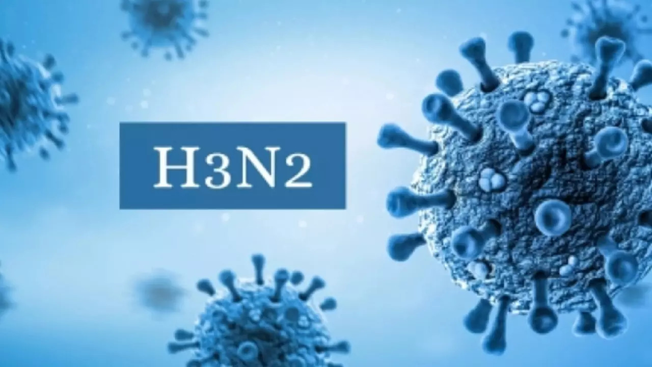 Maharashtra on Alert After 2 Die of Suspected H3N2 Virus