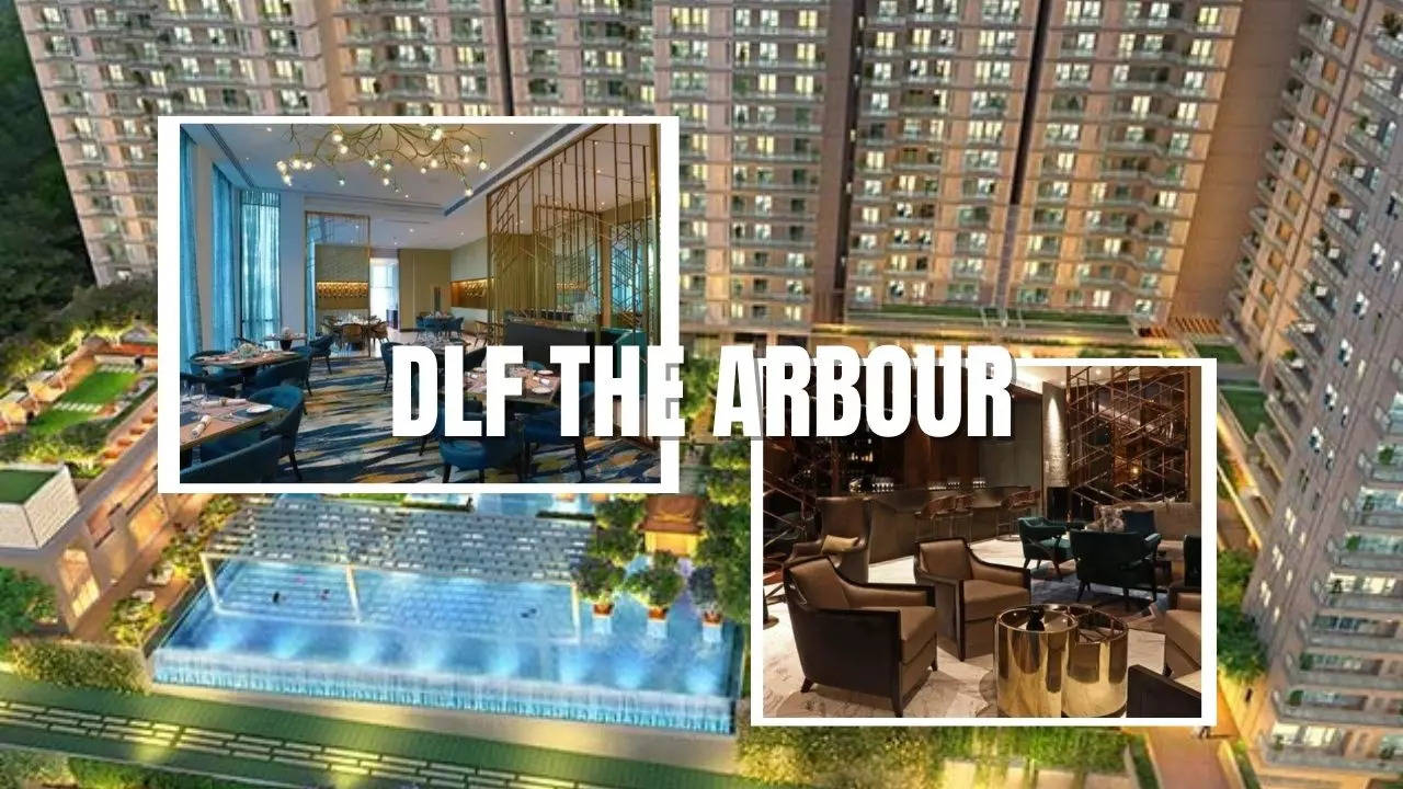 DLF THE ARBOUR