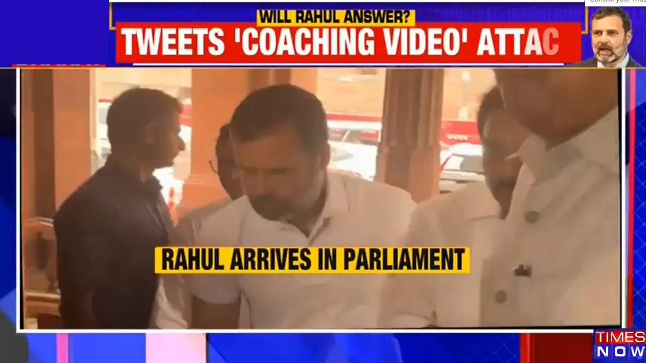 Rahul Gandhi Apology Row: BJP Takes Fresh Swipe At Congress Leader, LS ...