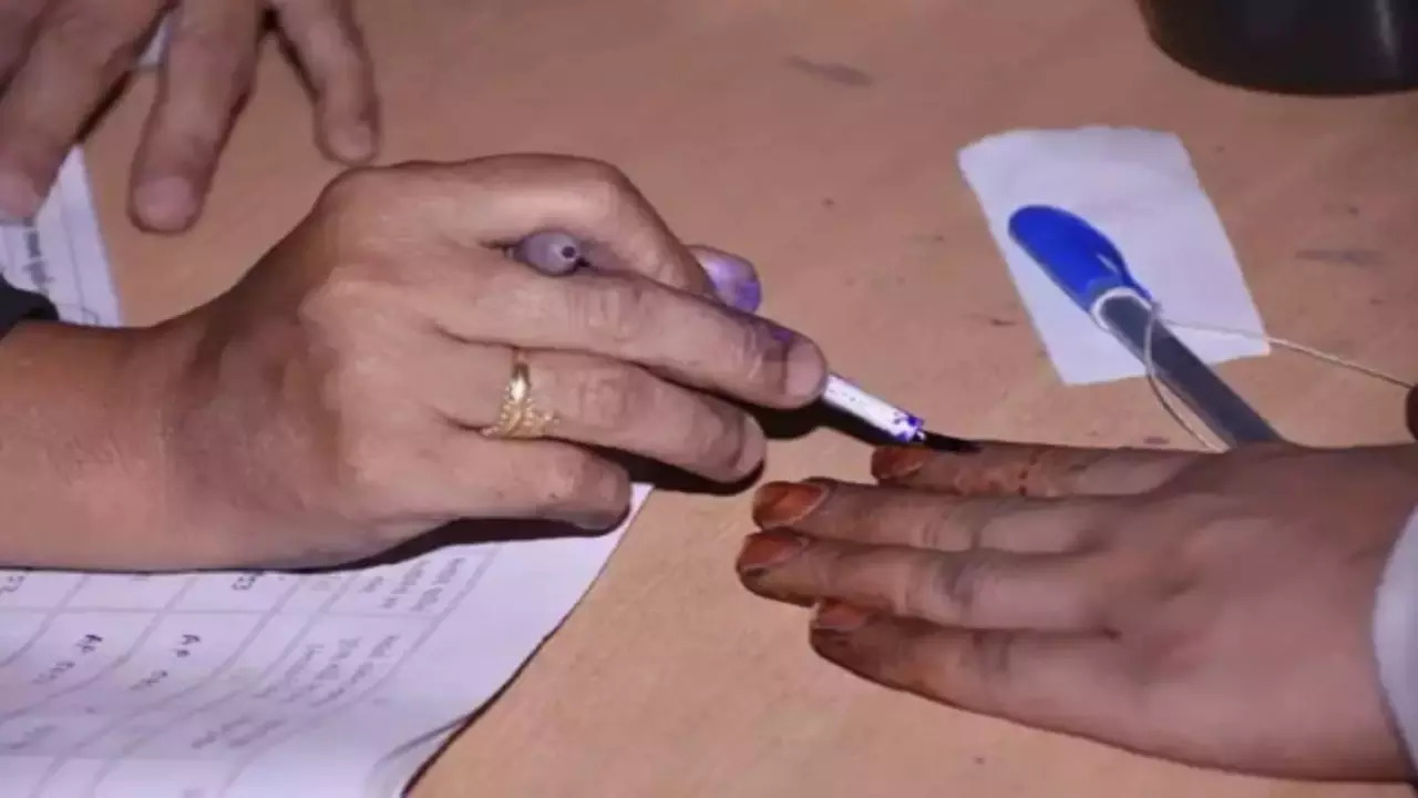 Delhi HC On Compulsory Voting in Elections