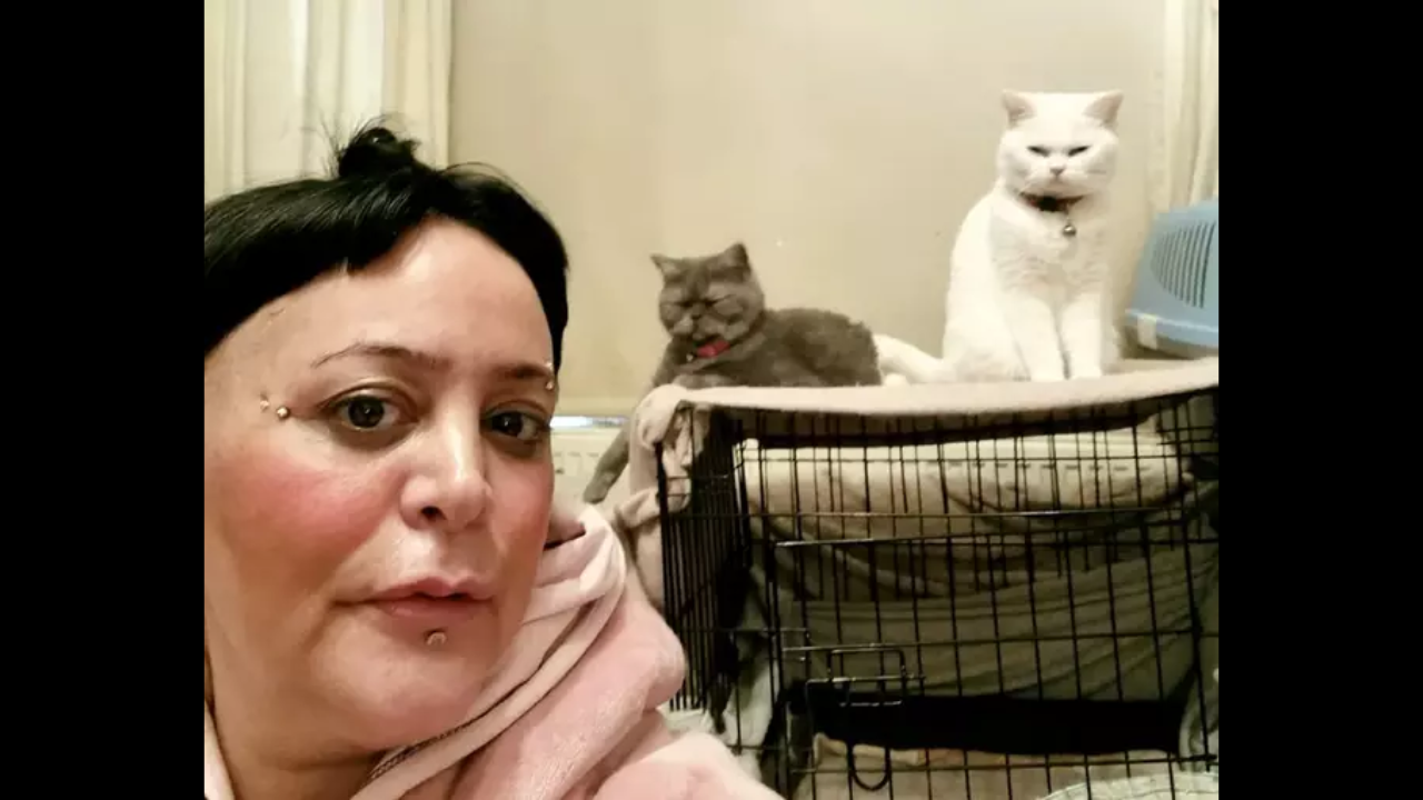 Woman can afford to eat once a week but never lets her 6 cats go hungry