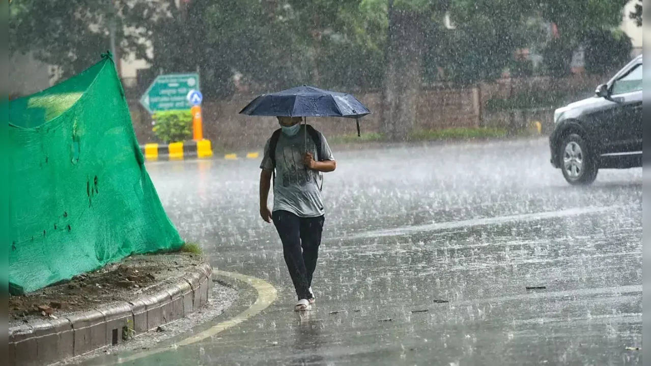 Rain to continue in national capital, hail likely at isolated places; check  7-day forecast for Delhi | Delhi News, Times Now