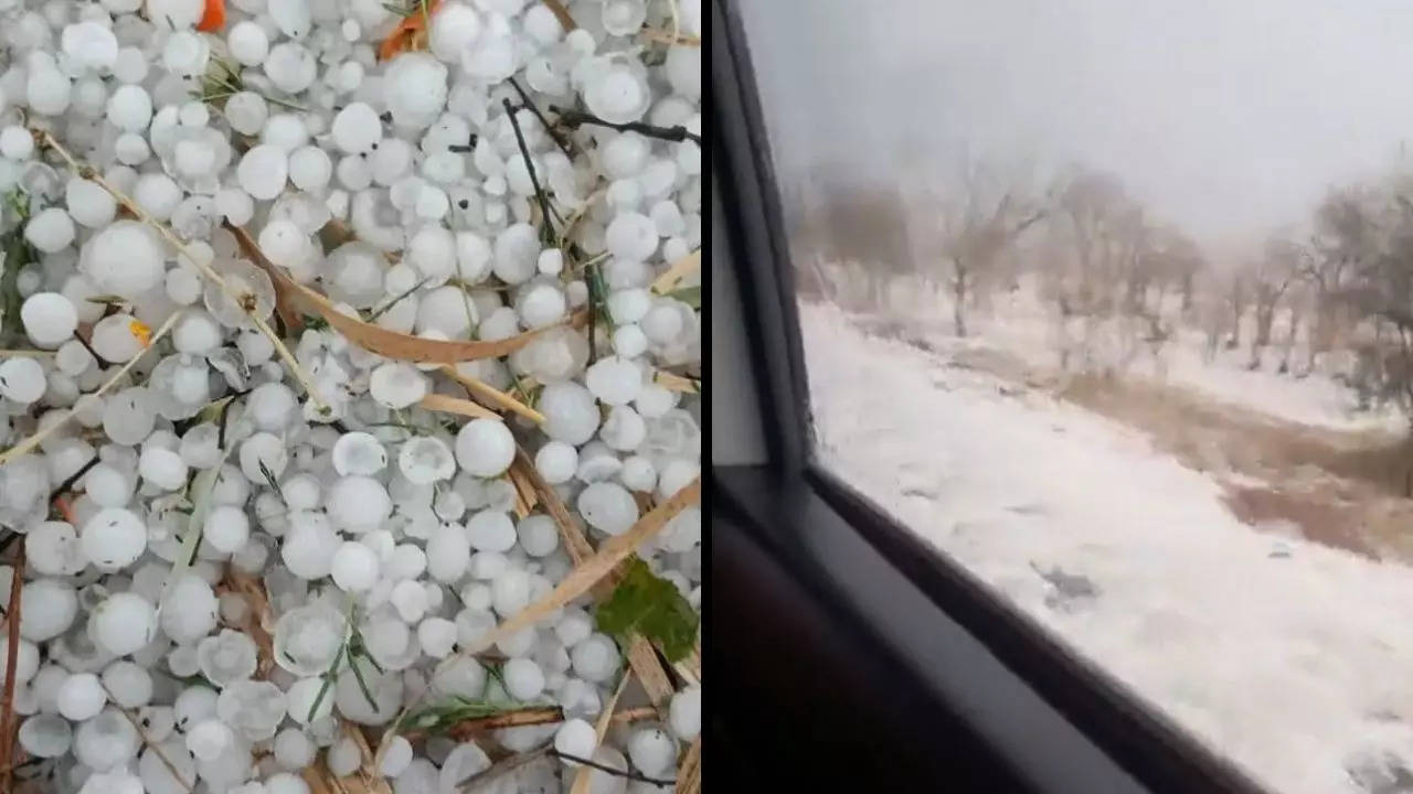 Hailstorm in Telangana turned the town of Vikarabad into an icy dreamscape | Courtesy: @anusha_puppala/Twitter