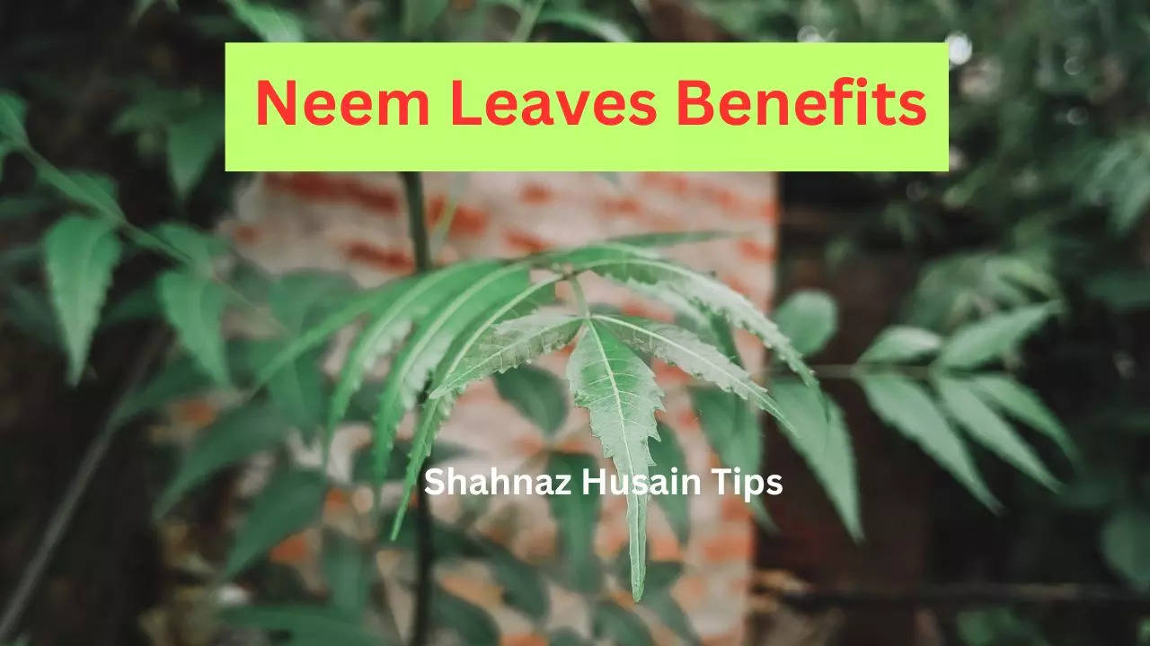 Neem Leaves Benefits