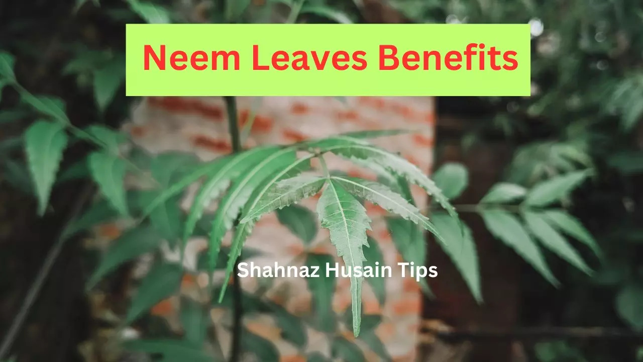 Neem Leaves Benefits