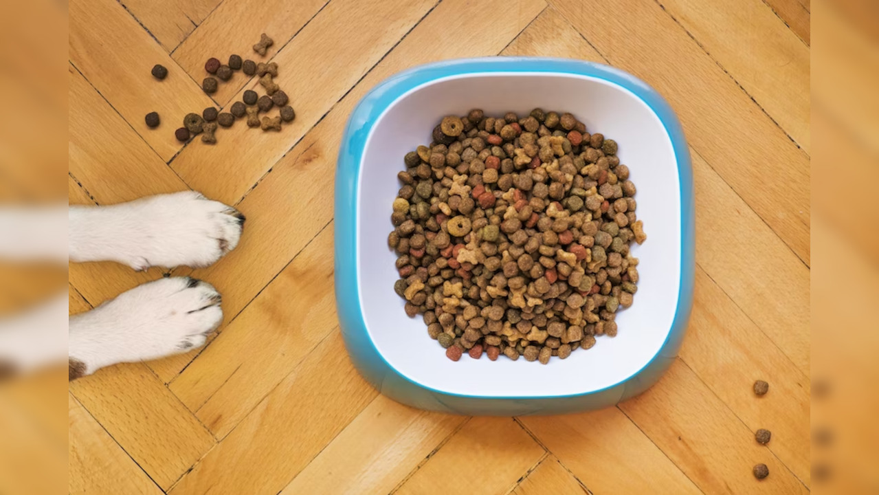 Fitness Trend Dubbed disgusting As It Shows Gymgoers Chowing Down Dog 