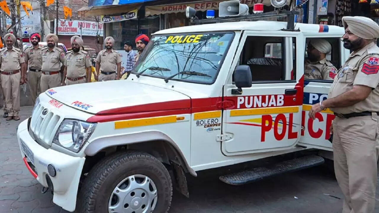 Punjab Police's fake news meme hits all right notes:'Don't Love The Way ...