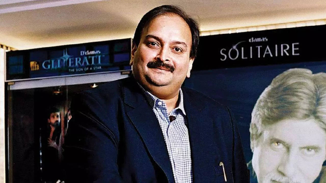 Interpol removes Red Corner Notice against Mehul Choksi (File Photo)