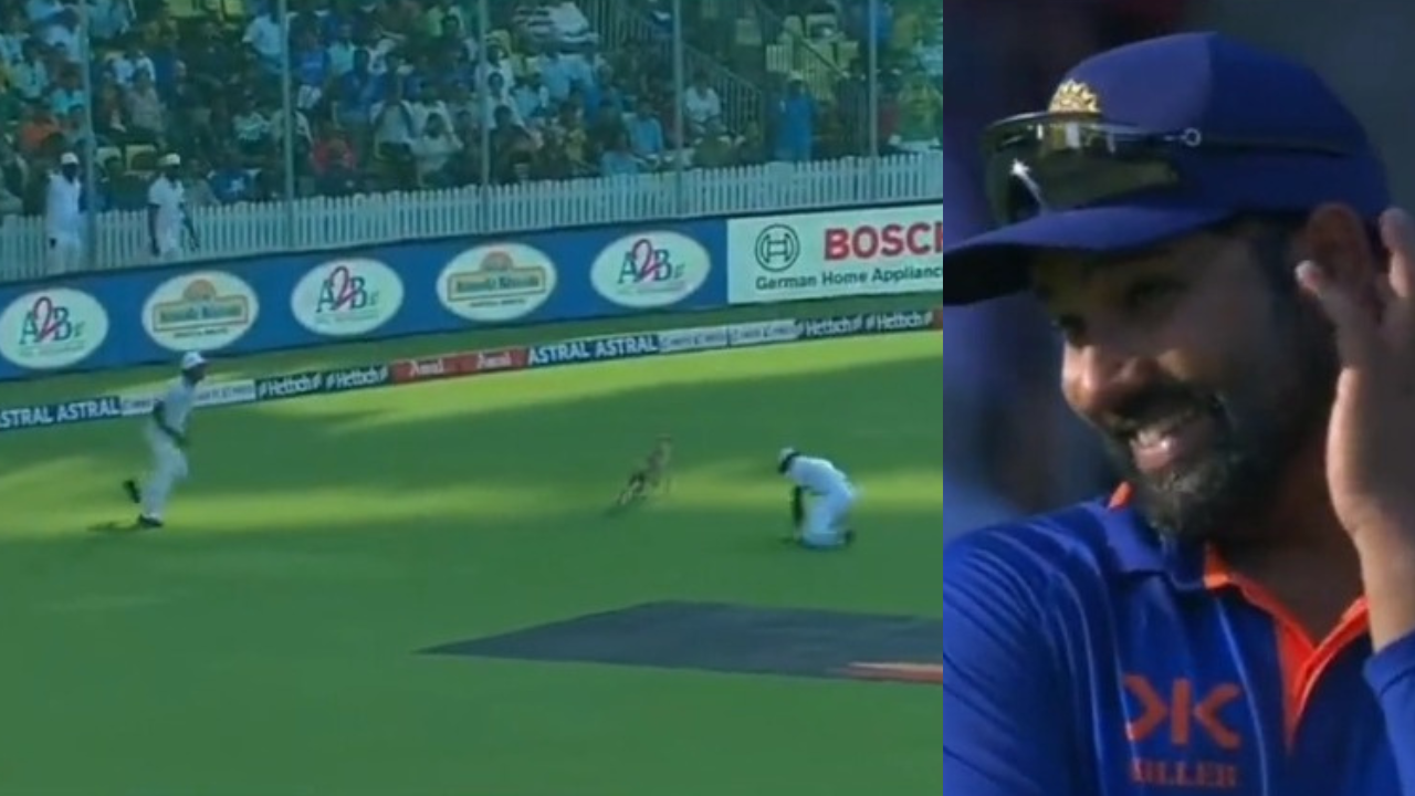 Rohit sharma, dog