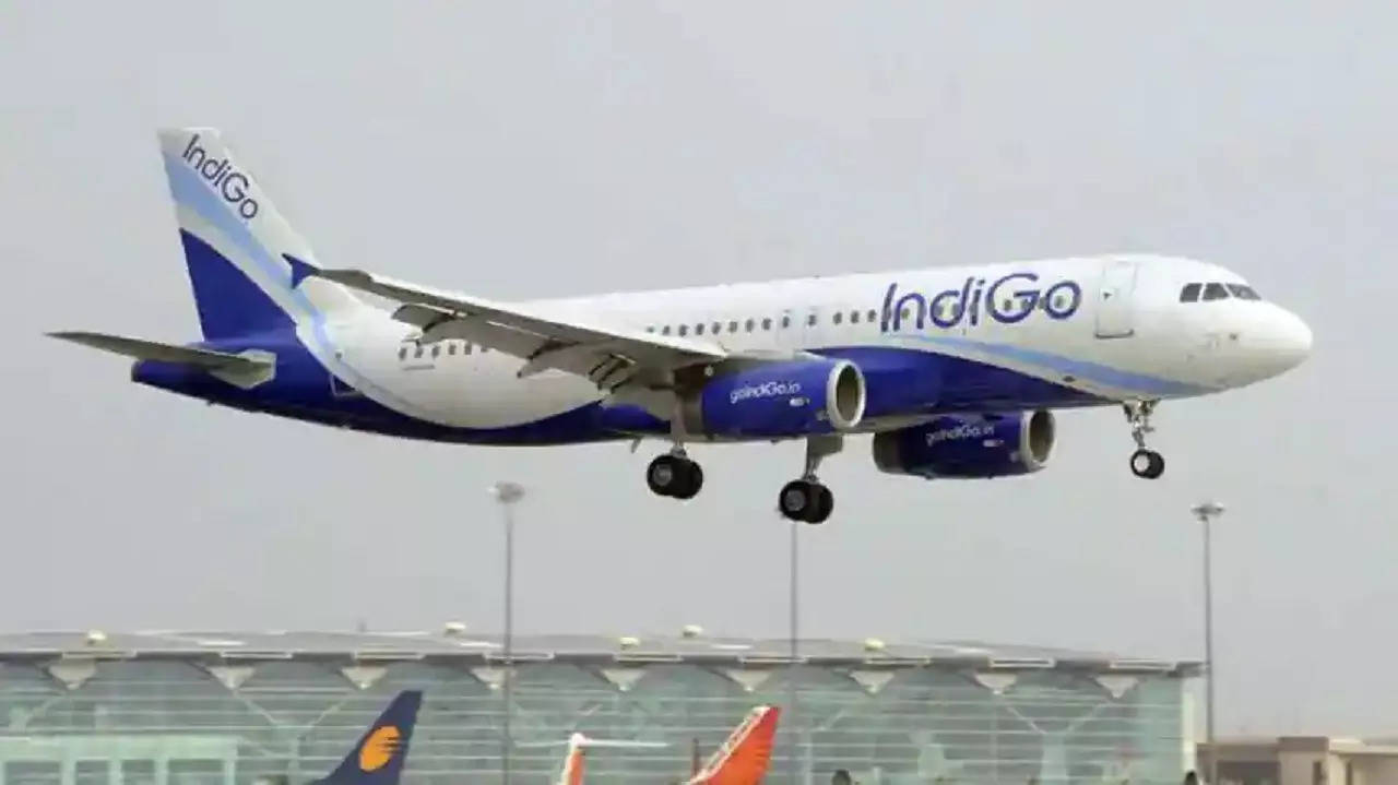 ​Fight onboard IndiGo flight