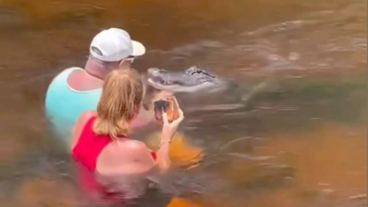 A Florida man was spotted hand-feeding an alligator a pork loin sandwich while chilling in a creek | Screenshot