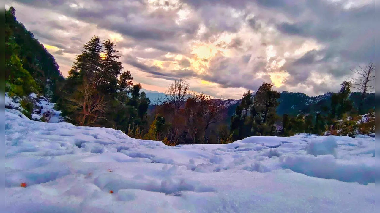 Chakrata | Photo credit: Twitter/chakratagreen