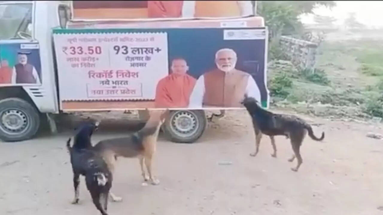 Viral video of dogs barking at pm modi yogi s banner unleashes debate
