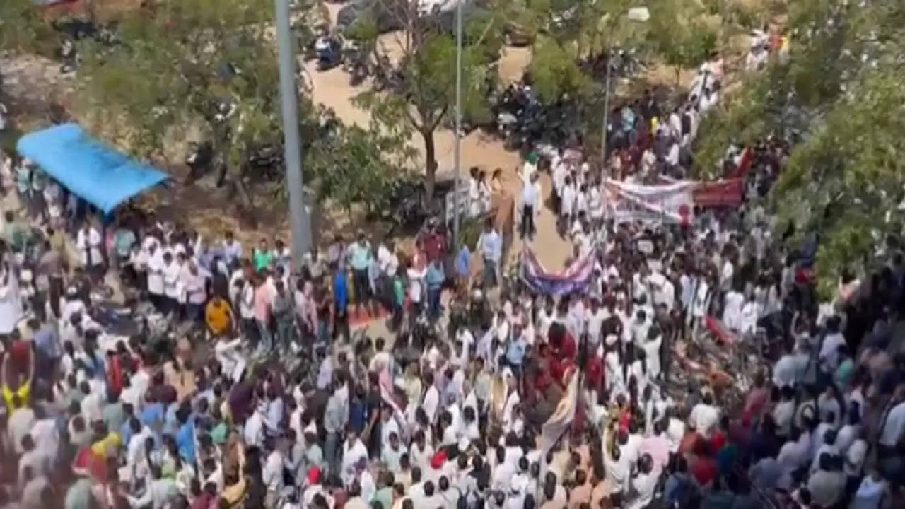 Rajasthan Doctors Protest